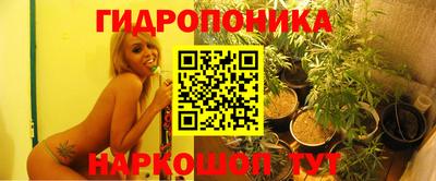 кокс Шелехов